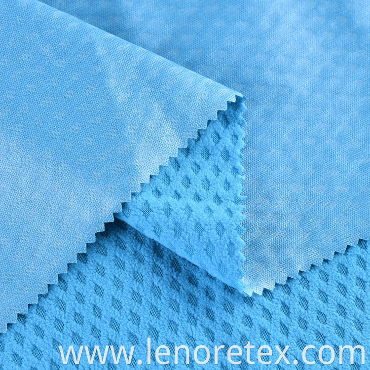 Polar Fleece Fabric